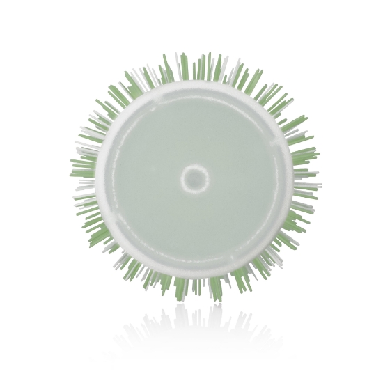 Imagine Ceramic-Ion Perie 43mm